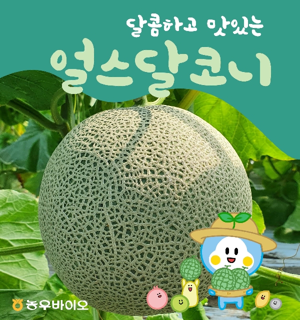달콤하고 맛있는 얼스달코니 멜론 대표 이미지