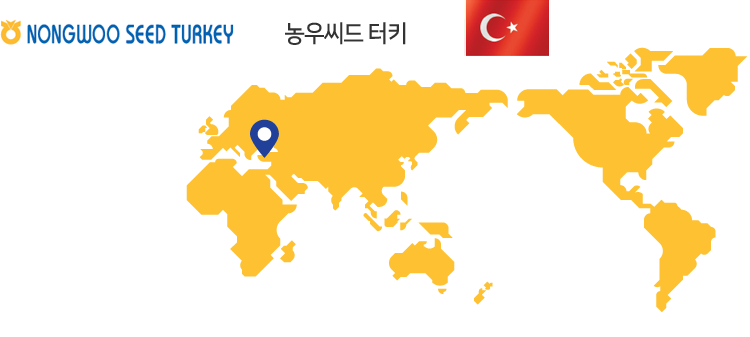 농우씨드터키