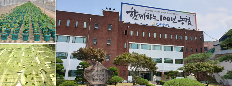rad연구소