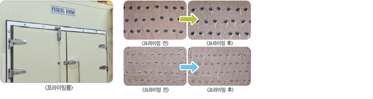 종자가공처리 